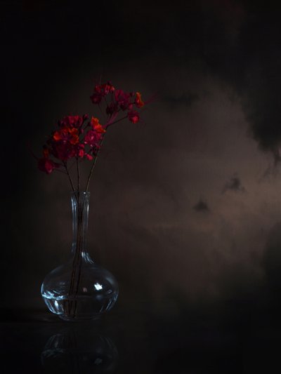 Stemningsfulde røde blomster af Margaret Halaby