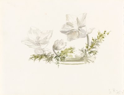 Studie af et blomsterarrangement (grafit, akvarel) af Margaret Louisa Herschel