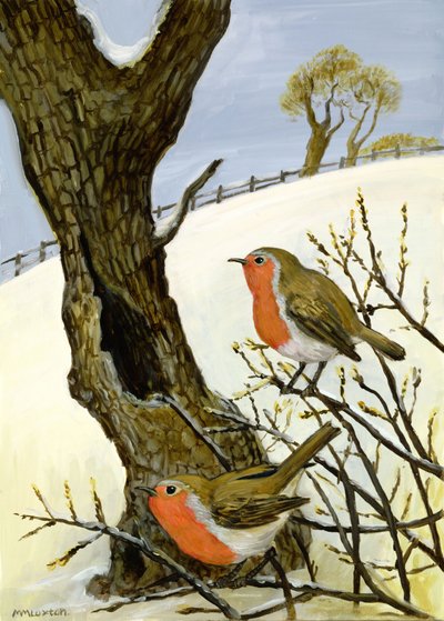 Et par råger af Margaret Loxton