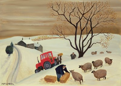 At bringe hø til fårene med traktor af Margaret Loxton