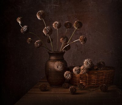 Jordfarvede tørrede blomster af Margareth Perfoncio