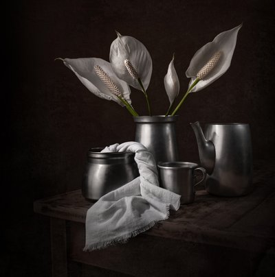 Elegante fredsliljer af Margareth Perfoncio