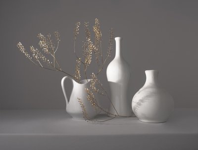 Minimalistisk botanisk stilleben af Margareth Perfoncio