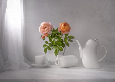 Morgenrose-te af Margareth Perfoncio