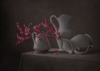 Lyserøde blomster og hvide kander af Margareth Perfoncio