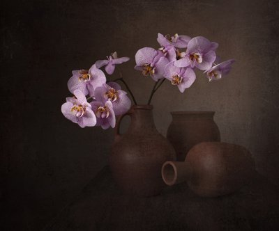 Stilleben med lilla orkidé af Margareth Perfoncio