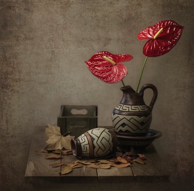 Rustikt anthurium-stilleben af Margareth Perfoncio