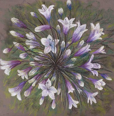 Allium-familien, 2020 (pastel) af Margo Starkey