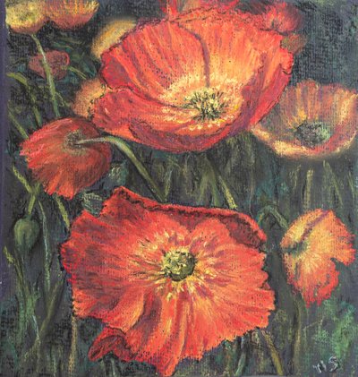 Første valmuer, 2020 (pastel) af Margo Starkey