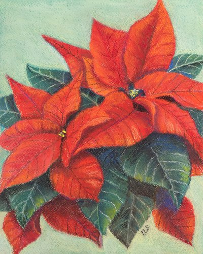 Julestjerne, 2022 (pastel) af Margo Starkey