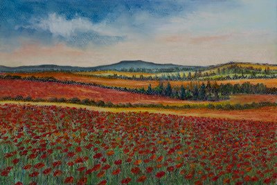Valmuemarker..Flandern, 2020 (pastel) af Margo Starkey