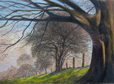 Vindblæste træer..Shroesbury, 2020 (pastel) af Margo Starkey