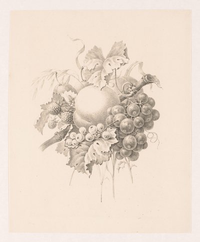 Frugtsammensætning af Maria Geertruida de Goeje Barbiers (attributed to)
