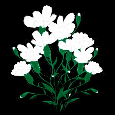 Hvide nelliker, 2020 af Marianna Kulukundis