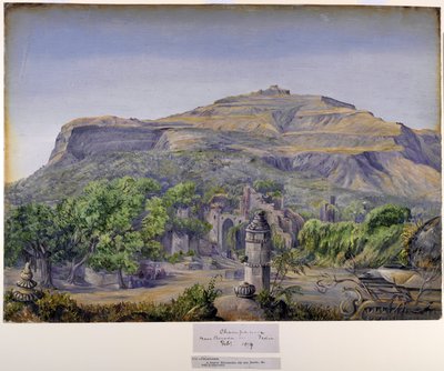 Champaneer, nær Baroda, Indien af Marianne North