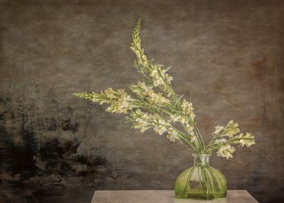 Rustikt blomsterstilleben af Marie-anne Stas
