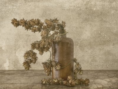 Stilleben med rustikke humle af Marie-anne Stas