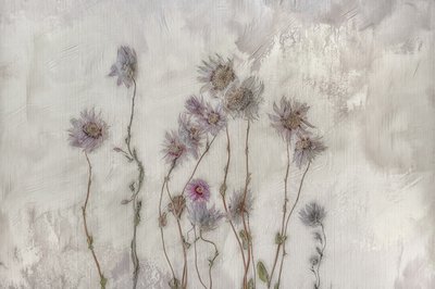 Bløde pastelfarvede blomster af Marie-anne Stas
