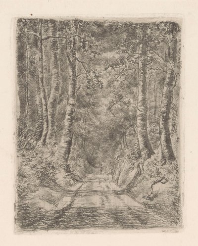 Skov langs en sunket vej af Marie Adolphine van der Goes van Dirxland