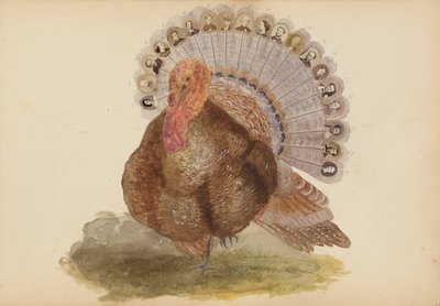 Madame B-albummet af Marie-Blanche-Hennelle Fournier