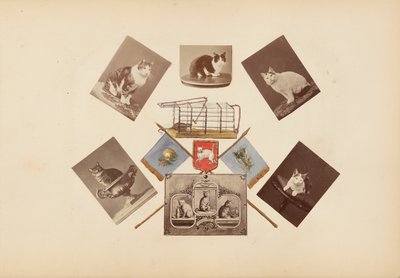 Madame B-albummet af Marie-Blanche-Hennelle Fournier