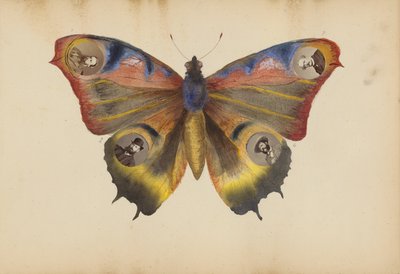 Madame B-albummet af Marie-Blanche-Hennelle Fournier