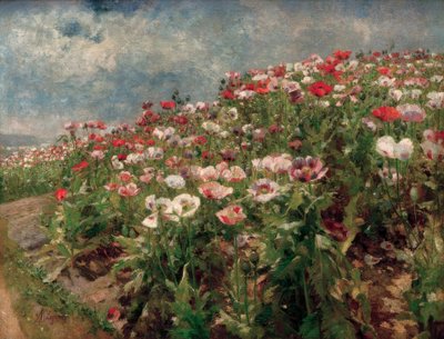 Blomstrende valmue, motiv fra St. Georgen ved Melk af Marie Egner