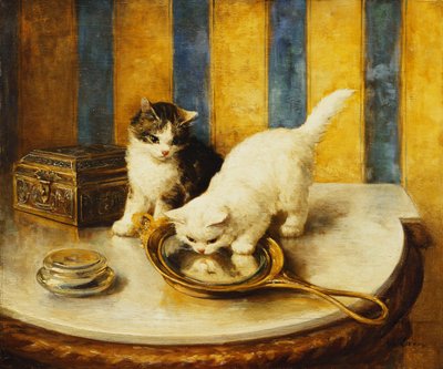 Feline refleksioner af Marie Yvonne Laur