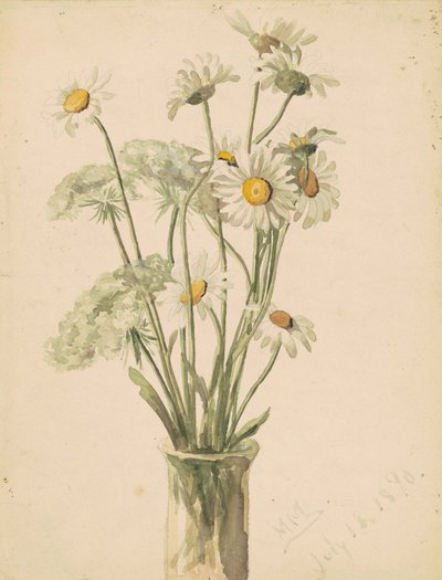 Tusindfryd og dronningespids i en vase, 1890 (akvarel og grafit på papir) af Marietta Minnegerode Andrews