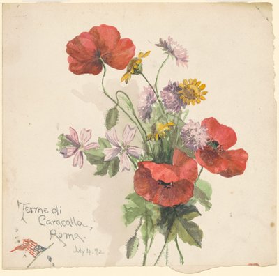 Caracalla-badene, Rom af Marietta Minnigerode Andrews