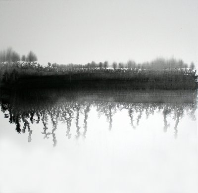 Monokrom skovrefleksion af Marina Nelson