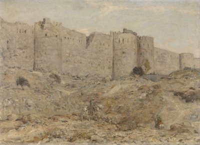Bymur i Indien af Marius Bauer
