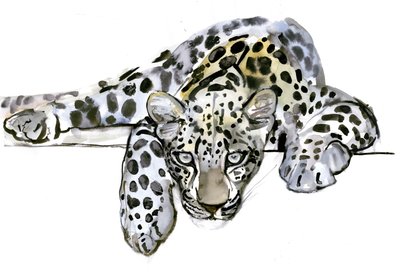 Arabisk leopard, 2008 af Mark Adlington