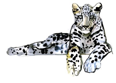 Arabisk leopard, 2008 af Mark Adlington