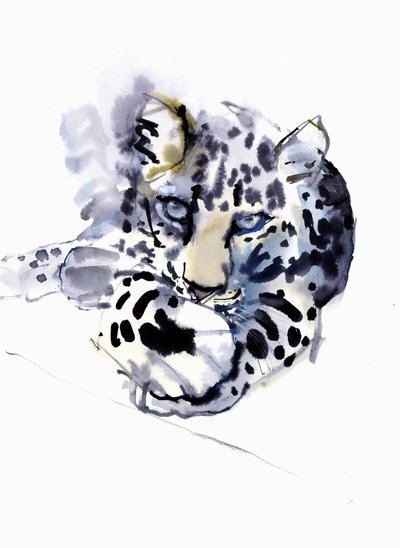Arabisk leopard, 2008 af Mark Adlington