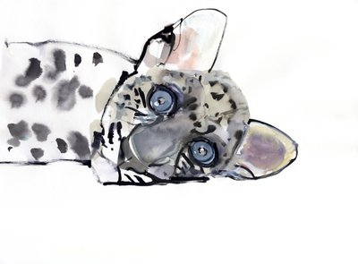 Arabisk leopard, 2008 af Mark Adlington