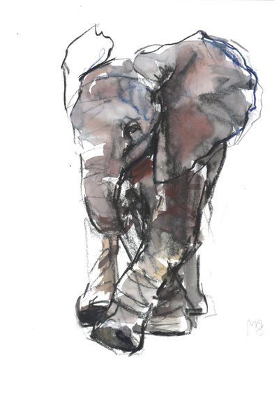 Babyelefantundersøgelse, 2018 af Mark Adlington