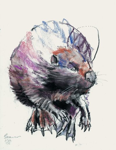 Beaver, 2001 (trækul og conte på papir) af Mark Adlington