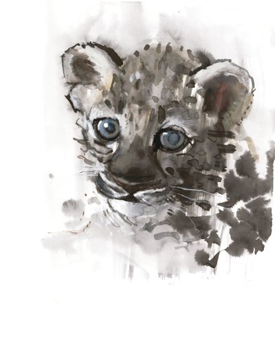 Blue Eyes (arabisk leopardunge), 2008 af Mark Adlington