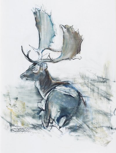 Buck in the Grass, 2006 (trækul og conte på papir) af Mark Adlington