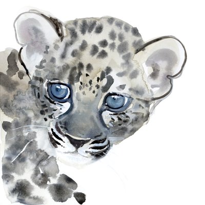 Cub, 2015, (akvarel på papir) af Mark Adlington