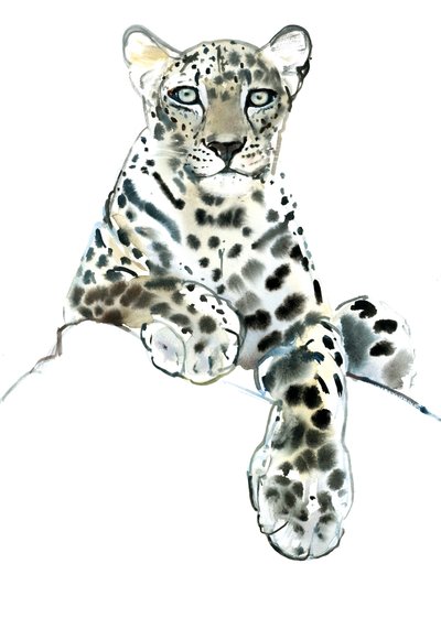 Direct (Arabian Leopard), 2015, (akvarel og gouache på papir) af Mark Adlington