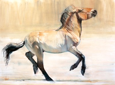 Equus (Przewalski), 2014, (pastel og trækul på papir) af Mark Adlington