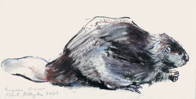 European Beaver (Studie) 2001 (charcoal und conte på papir) af Mark Adlington