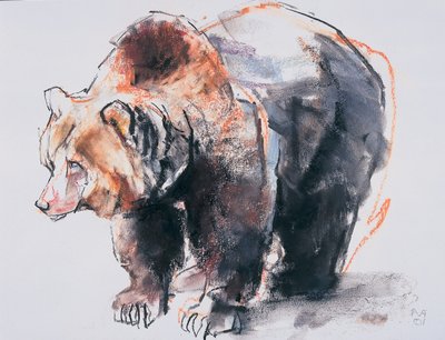Europæisk brunbjørn, 2001 (charcoal und conte på papir) af Mark Adlington