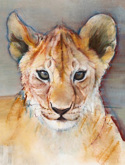 Hård unge, Masai Mara, 2019 af Mark Adlington