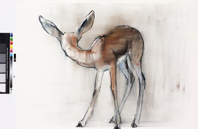 Gazelle Fawn (Arabian Gazelle) 2010 (olie på papir) af Mark Adlington