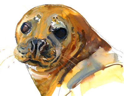 Ginger Pup, Westcove, 2023 af Mark Adlington