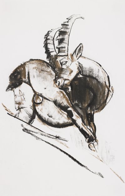 Ridser (kul und conte på papir) af Mark Adlington