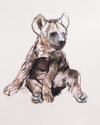 Hyaena Pup (sidder op), 2019 af Mark Adlington